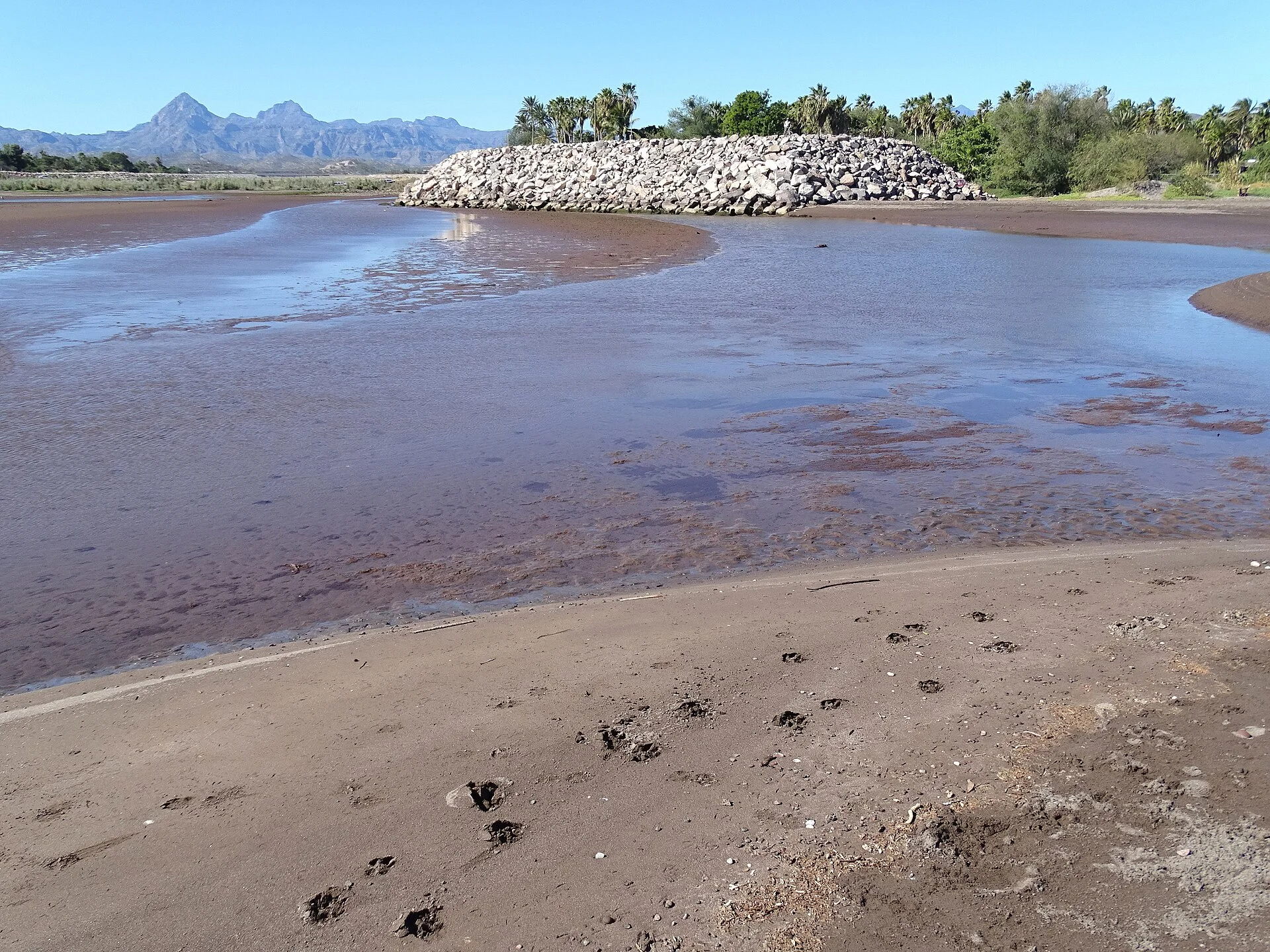 Desembocadura de arroyo en la playa de Loreto con palmeras y montañas al fondo