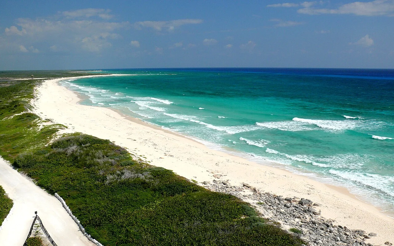 Playa virgen de arena blanca bordeada de vegetación costera junto al mar turquesa del Caribe