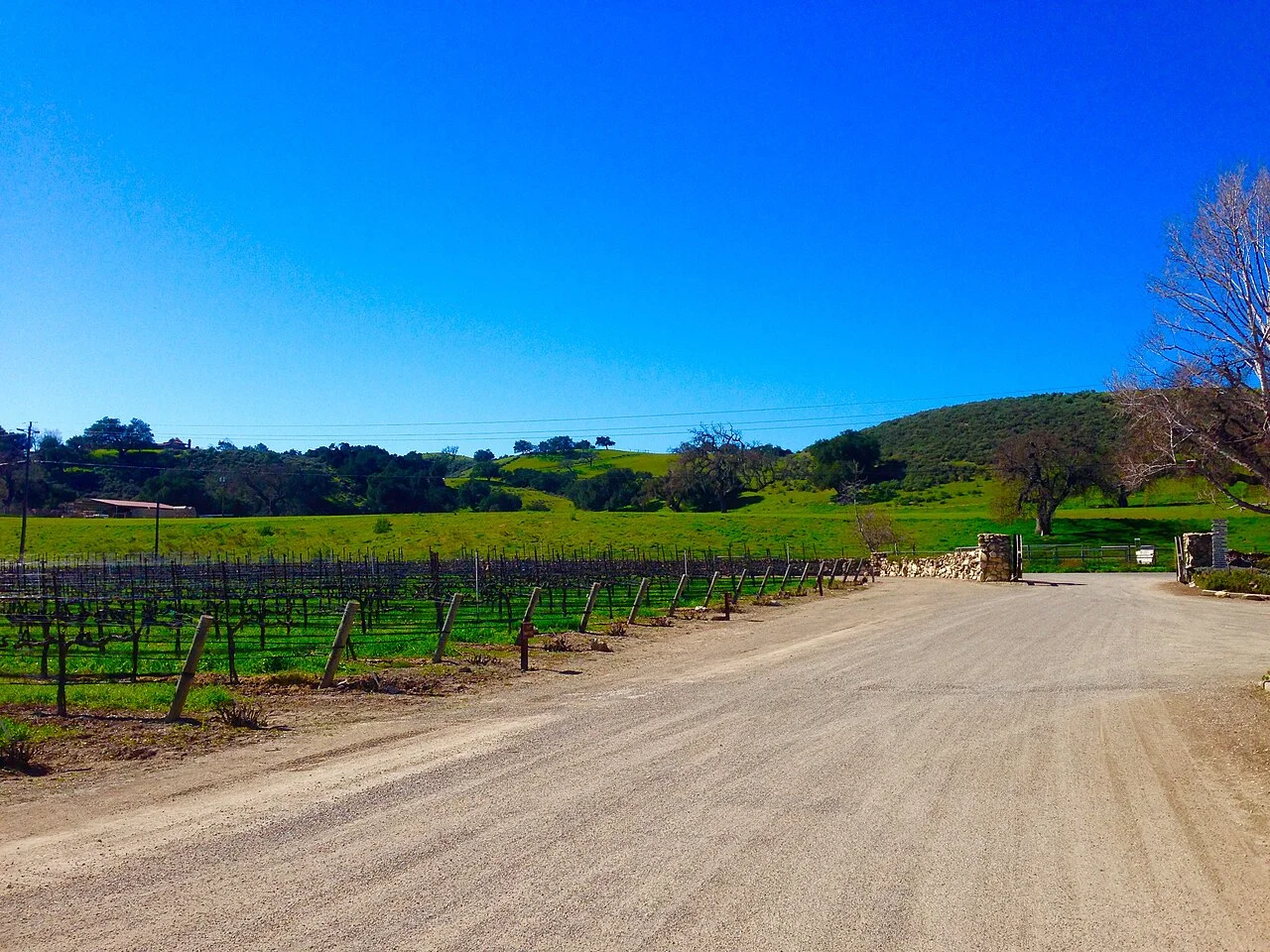 Valle de Santa Ynez