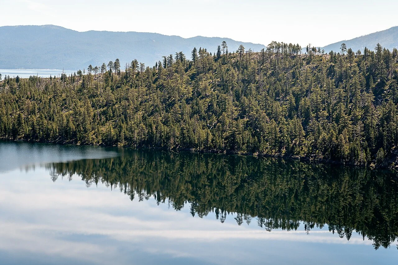 Bosque de pinos reflejado en el agua quieta de Emerald Bay con montañas a lo lejos