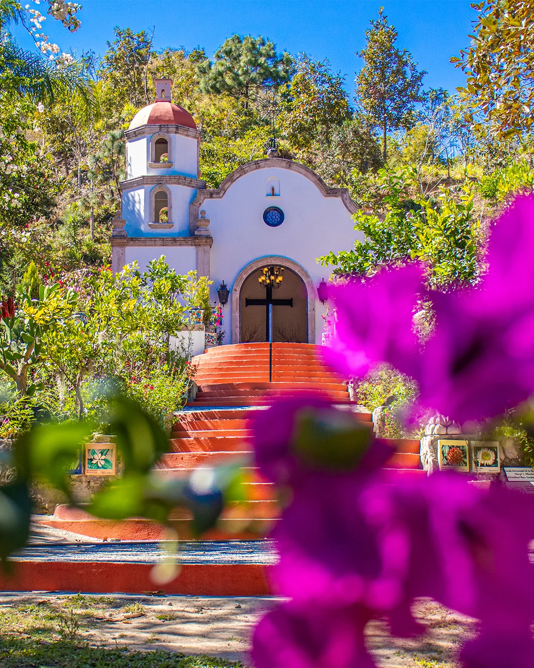 Capilla blanca con escalinata roja entre árboles y flores en el Jardín Botánico de Vallarta, con buganvilias al frente