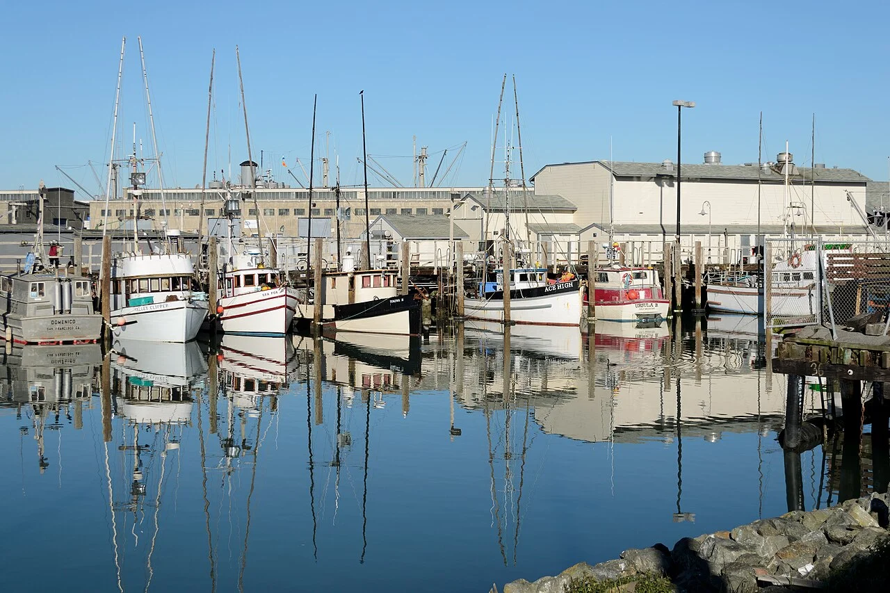 Barcos pesqueros atracados en Fisherman's Wharf reflejados en el agua tranquila del puerto