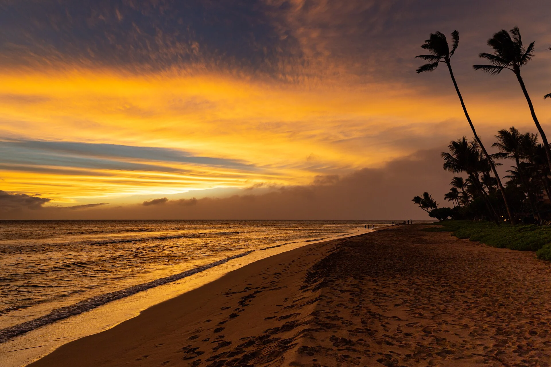 Atardecer dorado sobre el mar con palmeras altas y arena con huellas en una playa de Maui