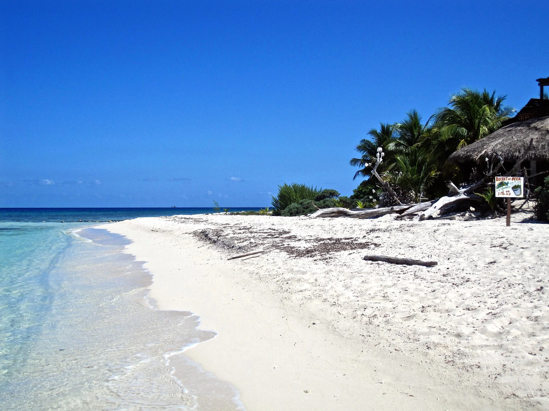 Orilla de arena blanca y agua cristalina junto a una palapa y vegetación tropical en Cozumel