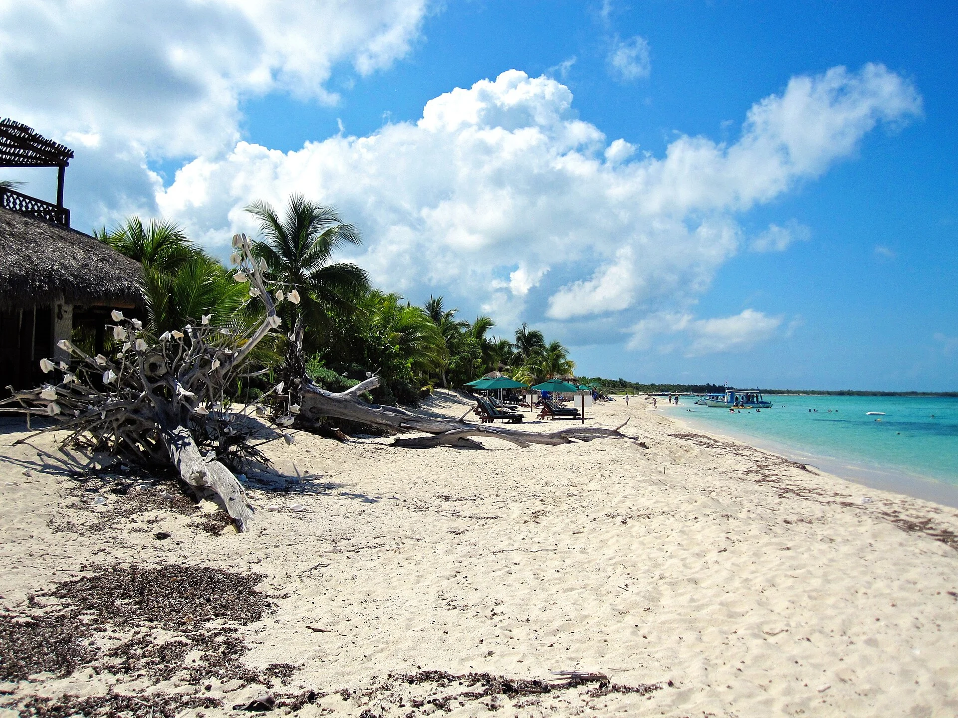 Cozumel