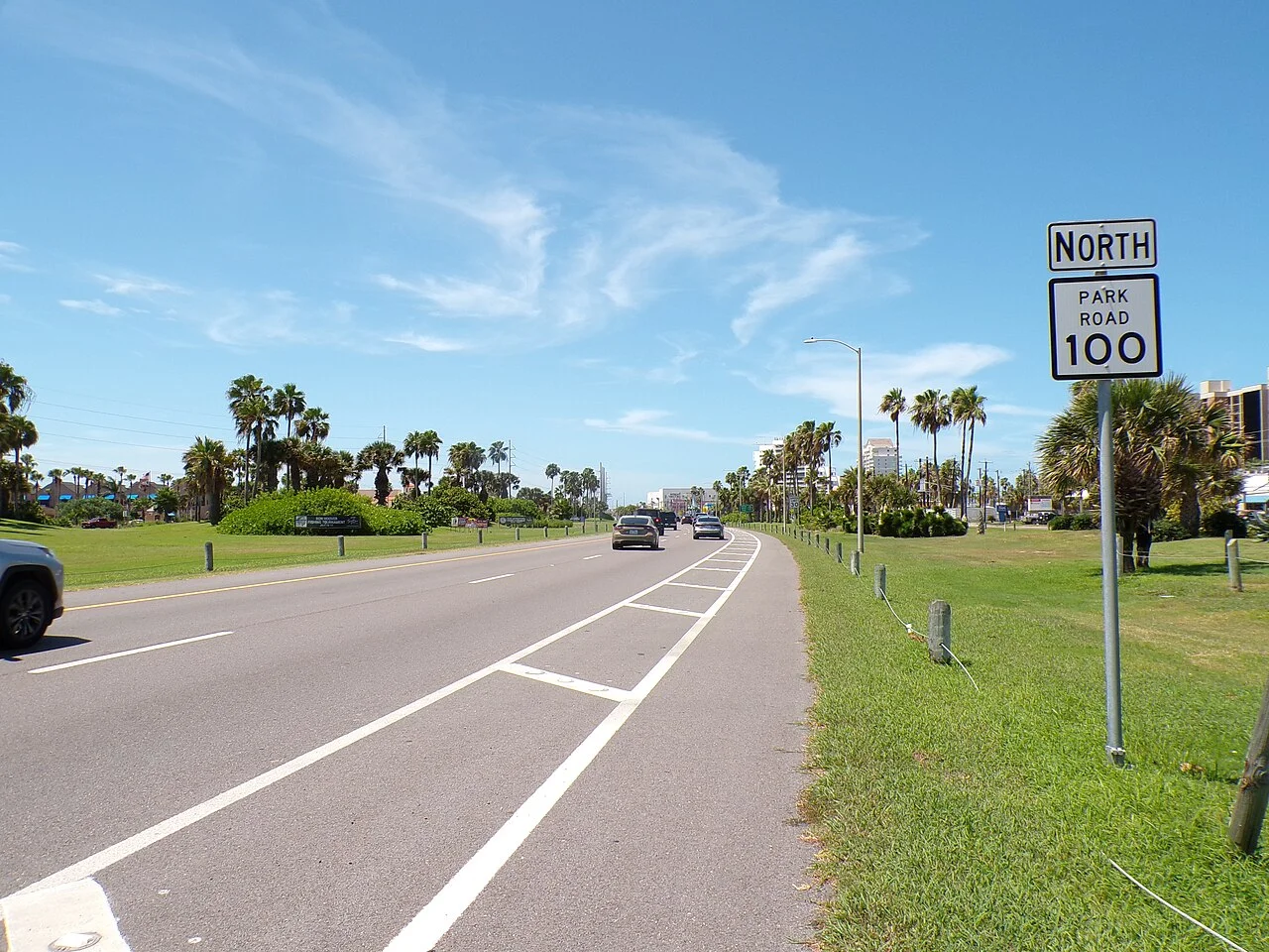 Park Road 100 con palmeras y cielo azul, la avenida que recorre South Padre Island hacia el norte