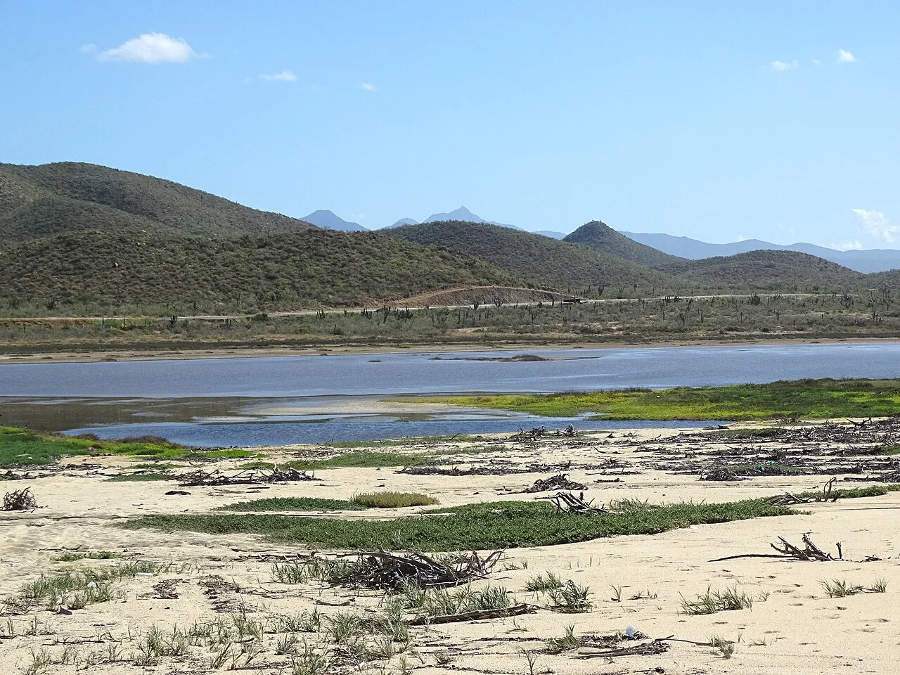 Arena, matorral y laguna costera junto a Playa Los Cerritos, con cerros del desierto al fondo