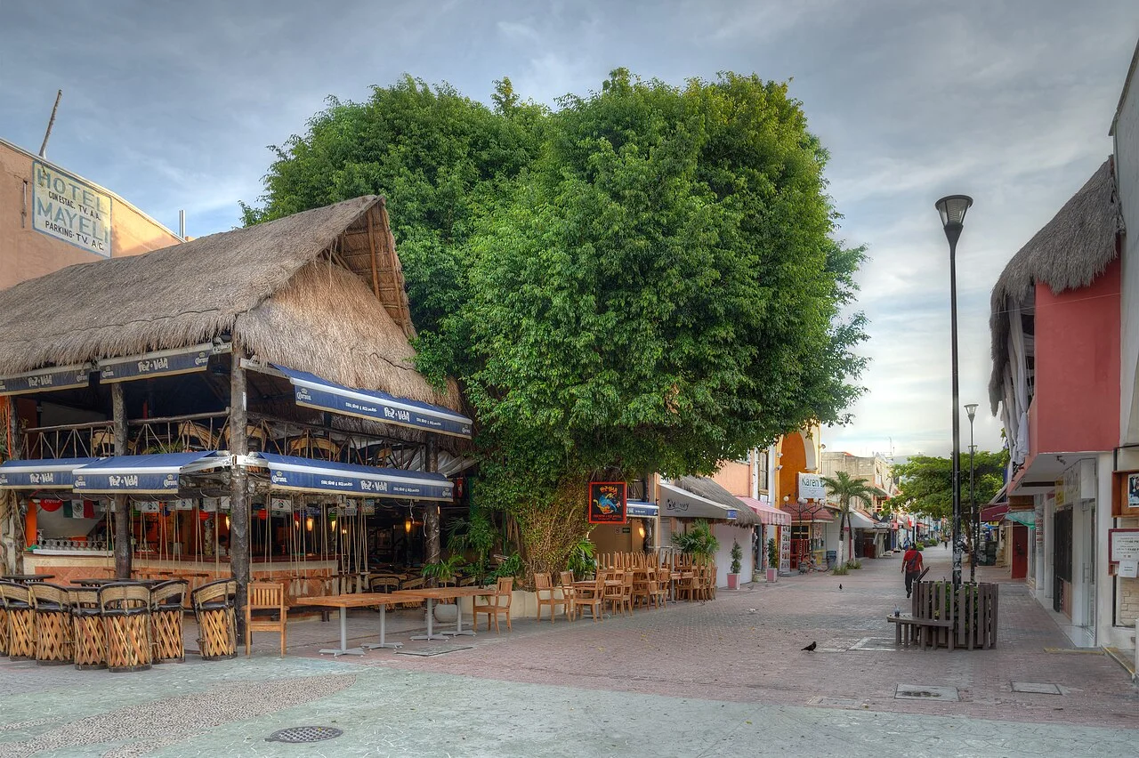 Calle peatonal con restaurantes bajo techos de palapa y un gran árbol en un pueblo del Caribe mexicano