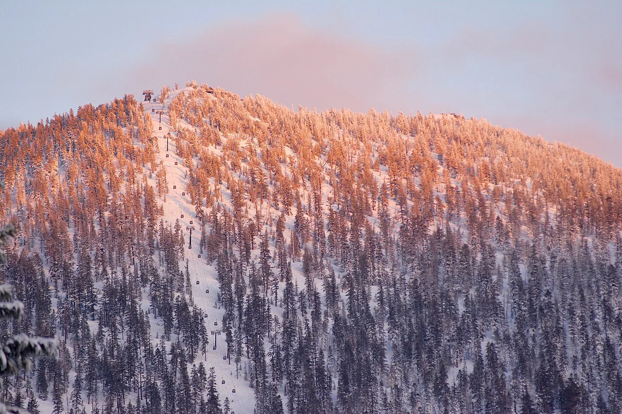 Ladera nevada de Heavenly cubierta de pinos con pistas de esquí iluminadas por el atardecer