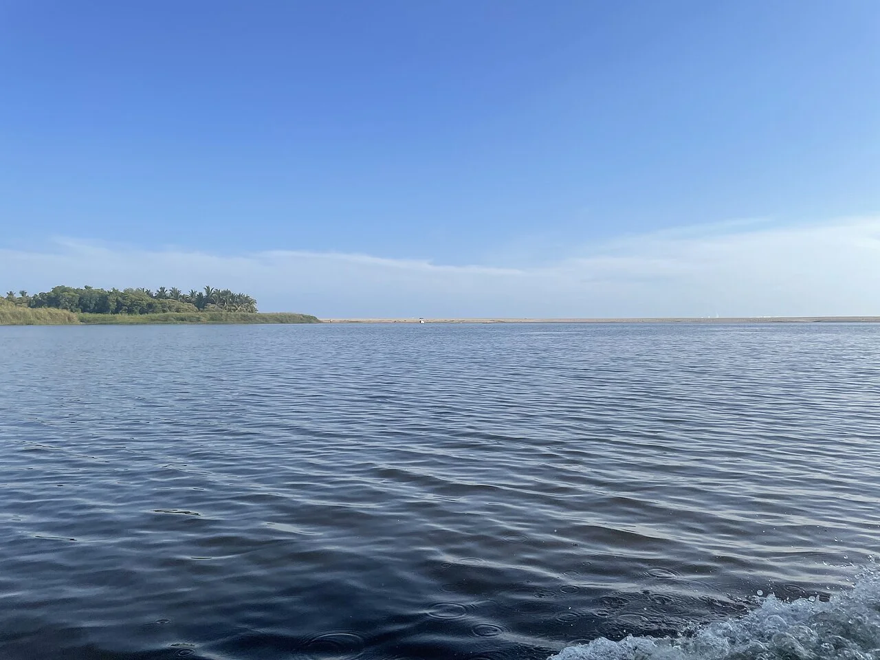 Laguna de Manialtepec vista desde una lancha, con agua tranquila y vegetación en la orilla