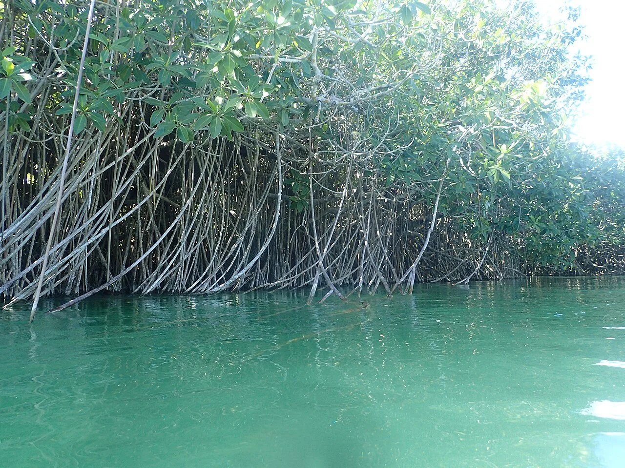 Reserva de la Biosfera Sian Ka'an