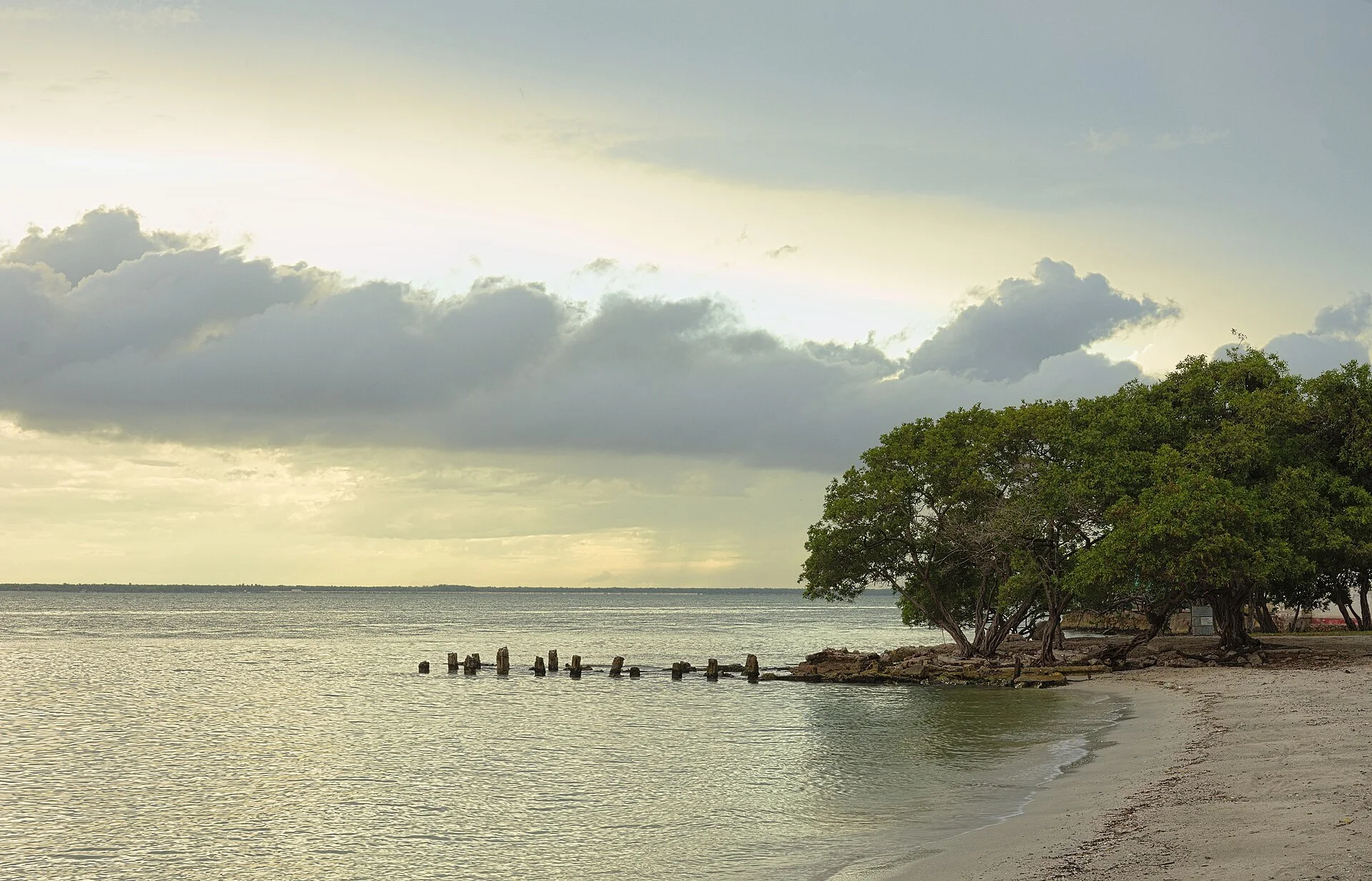 Árboles junto a la orilla y restos de un viejo muelle en aguas tranquilas al atardecer