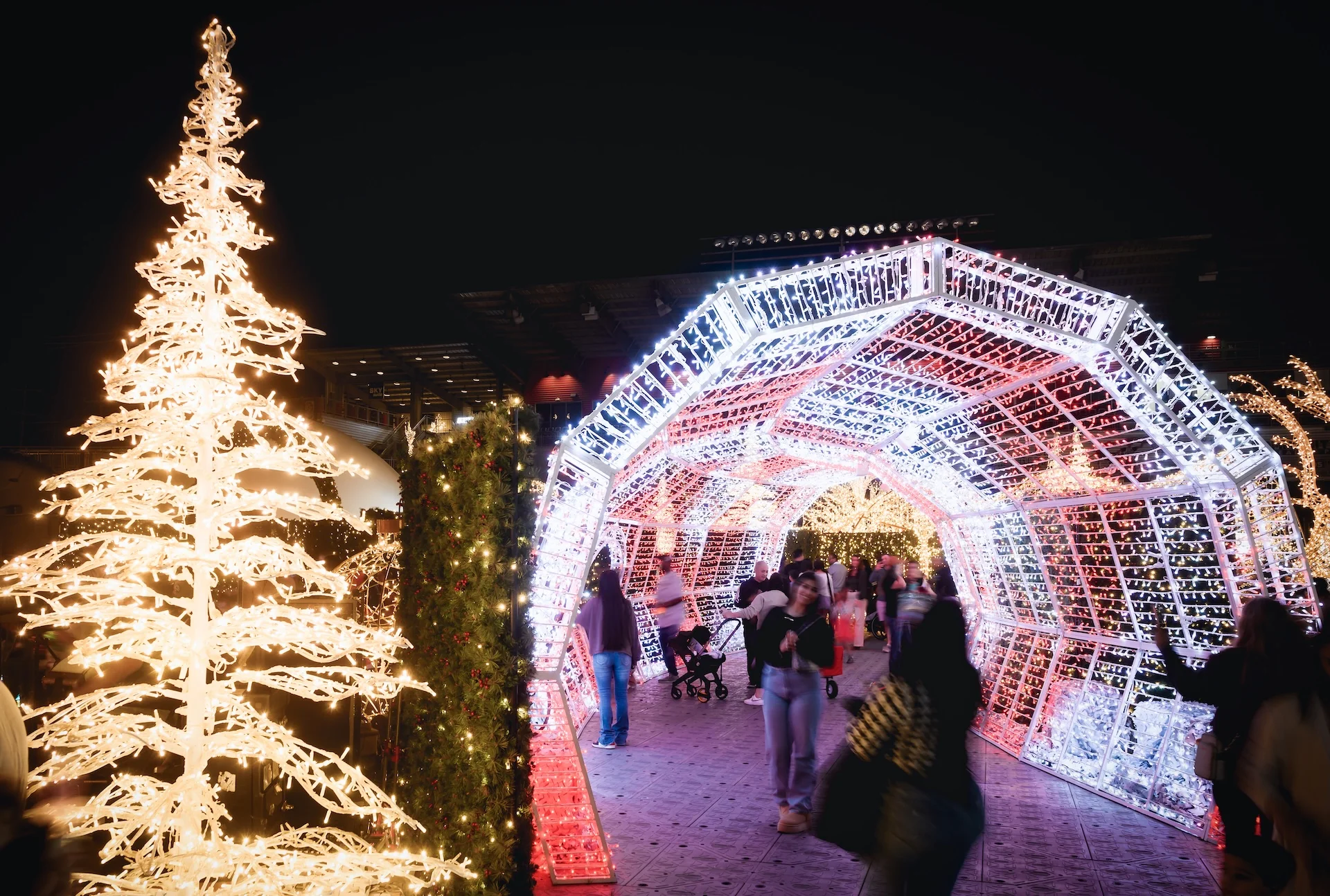 Visitantes caminan por un túnel de luces blancas junto a un árbol navideño luminoso de noche